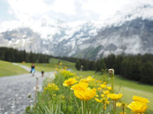 Bela Paisagem Montanhosa Com Vista Para Kandersteg Oeschinen Suíça — Fotografia de Stock