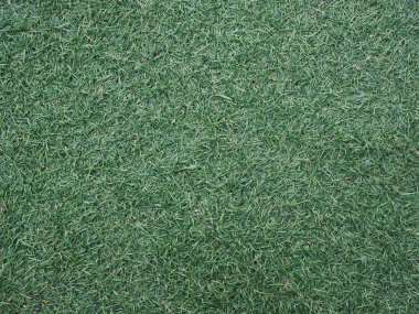 Havuzun yanındaki suni çim arka plan.