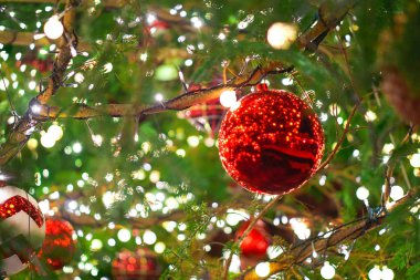 Gece aydınlatma gösteri ile Noel ağacı