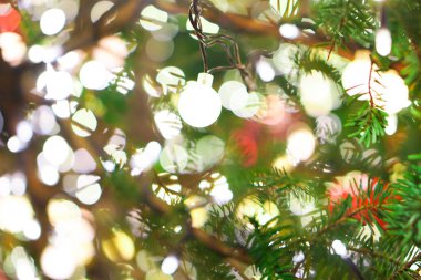 Gece aydınlatma gösteri ile Noel ağacı