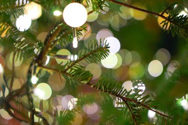Gece aydınlatma gösteri ile Noel ağacı