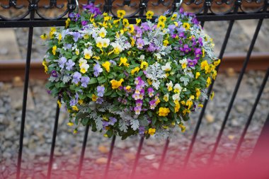 çiçek olmak yan yürüyüş yolu.