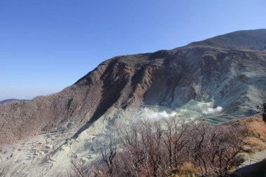 Vadi owakudani yaprakları ile renk değiştirme
