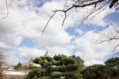 Himeji Kalesi Japonya'nın güzelliği