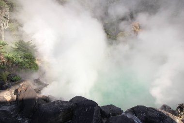 Kaplıcalar Beppu Japonya'da deli gibi.