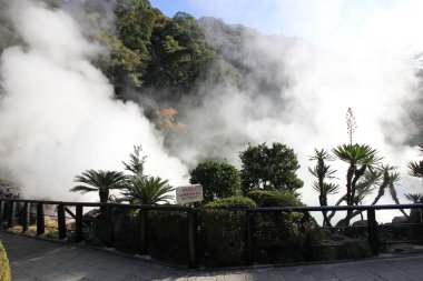 Kaplıcalar Beppu Japonya'da deli gibi.
