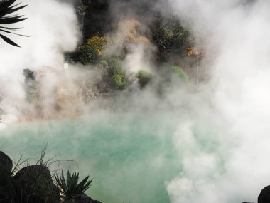 Kaplıcalar Beppu Japonya'da deli gibi.
