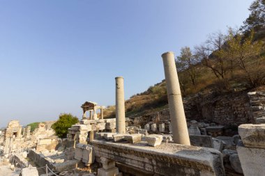Kamu bir dünya mirası Efes Kütüphanesi Türkiye'nin tarihi şehir yerleştirir..