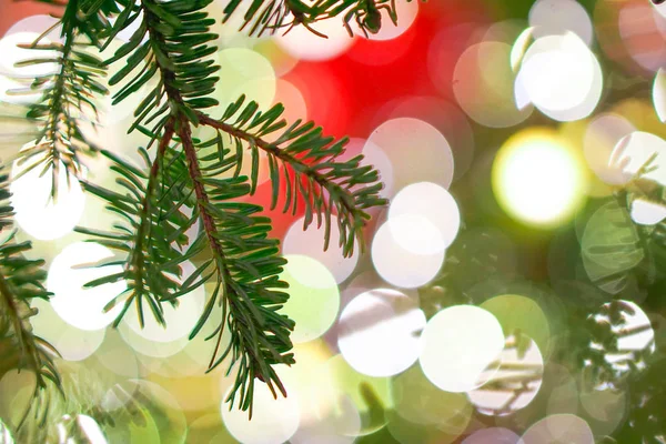 Χριστουγεννιάτικο Δέντρο Επίδειξη Φωτισμού Νύχτας — Φωτογραφία Αρχείου