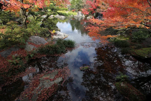 Akçaağaç Rengini Değiştir Japonya Sonbaharda Yaprakları — Stok fotoğraf