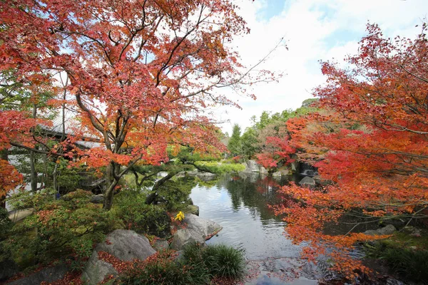 Liście Klonu Zmień Kolor Jesienią Japonia — Zdjęcie stockowe