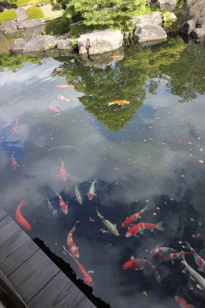 Jardim Kokoen Belo Jardim Perto Castelo Himeji — Fotografia de Stock