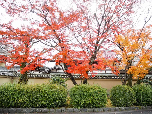 Parque Lugar Público Japón Mensaje Indica Que Suerte Próspera — Foto de Stock