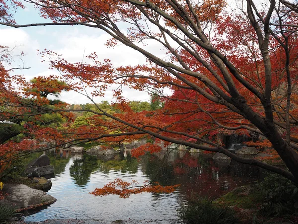 Las Hojas Arce Cambian Color Japón Otoño — Foto de Stock