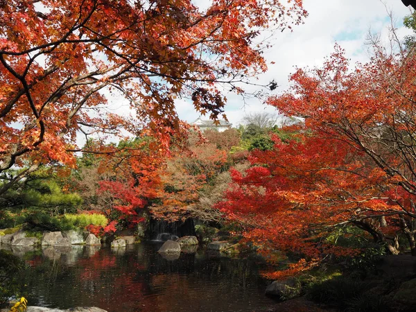 Akçaağaç Rengini Değiştir Japonya Sonbaharda Yaprakları — Stok fotoğraf