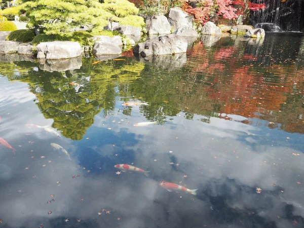 Kokoen Garden Beautiful Garden Himeji Castle — Stock Photo, Image
