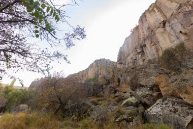 Ihlara Vadisi Türkiye'de zengin orman