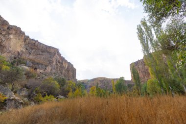 Ihlara Vadisi Türkiye'de zengin orman