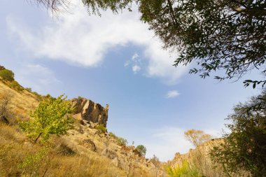 Ihlara Vadisi Türkiye'de zengin orman