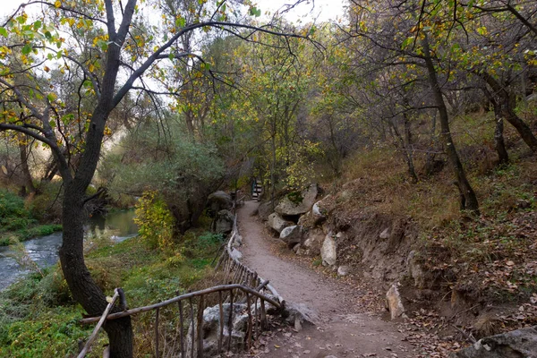 Reicher Wald Ihlara Tal Truthahn — Stockfoto