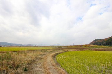 Alanları ve yaprakları renk değiştirme.