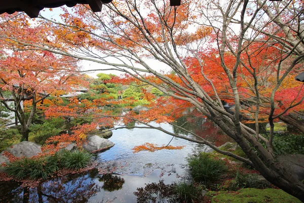 Folhas Bordo Mudam Cor Outono Japão — Fotografia de Stock