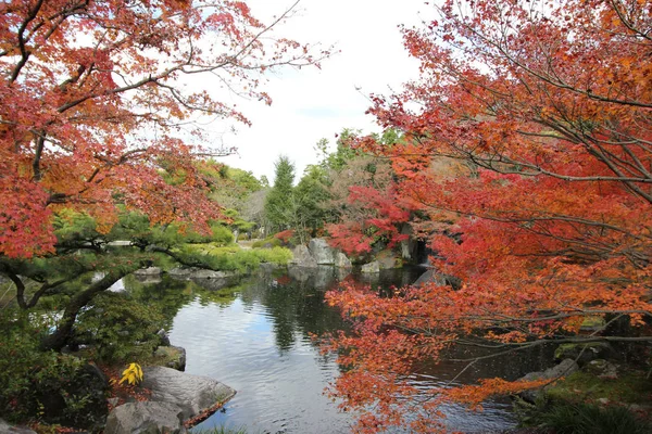 Las Hojas Arce Cambian Color Japón Otoño — Foto de Stock