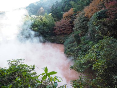 Kaplıcalar Beppu Japonya'da deli gibi.