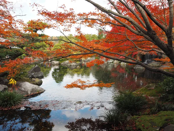 Las Hojas Arce Cambian Color Japón Otoño — Foto de Stock