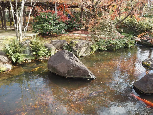 Kokoen Tuin Prachtige Tuin Buurt Van Himeji Kasteel — Stockfoto