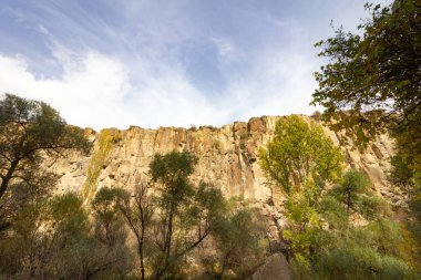 Ihlara Vadisi Türkiye'de zengin orman