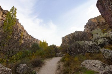 Ihlara Vadisi Türkiye'de zengin orman