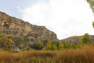 Ihlara Vadisi Türkiye'de zengin orman
