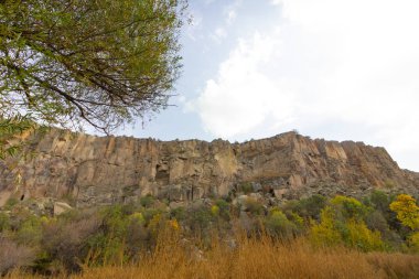 Ihlara Vadisi Türkiye'de zengin orman