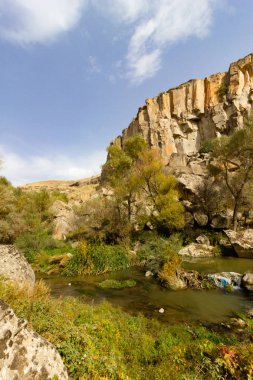 Ihlara Vadisi Türkiye'de zengin orman
