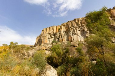Ihlara Vadisi Türkiye'de zengin orman