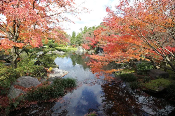 Las Hojas Arce Cambian Color Japón Otoño — Foto de Stock