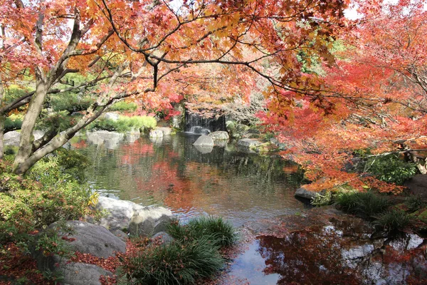 Las Hojas Arce Cambian Color Japón Otoño — Foto de Stock