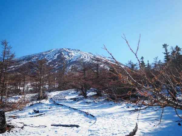 Όρος Φουτζιγιάμα Ιαπωνία Σταθμό Χιόνι Και Προβολή — Φωτογραφία Αρχείου