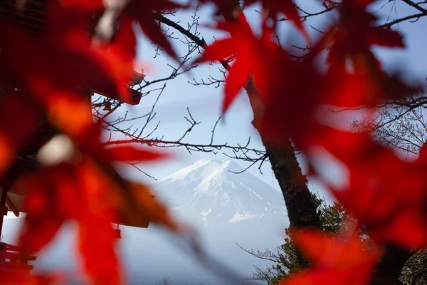 Fuji Dağı'nın yüksek açısı.