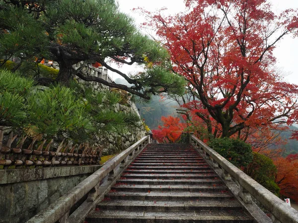Kyoto Japón Otoño Kiyomizu Templo Dera — Foto de Stock