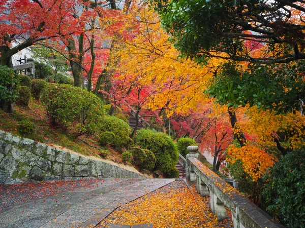 Kyoto, Japonya sonbahar Kiyomizu-dera Tapınağı'nda