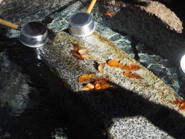 Kyoto, Japonya sonbahar Kiyomizu-dera Tapınağı'nda