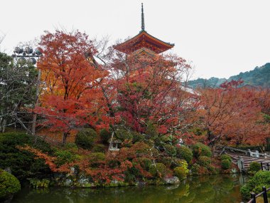 Kyoto, Japonya sonbahar Kiyomizu-dera Tapınağı'nda