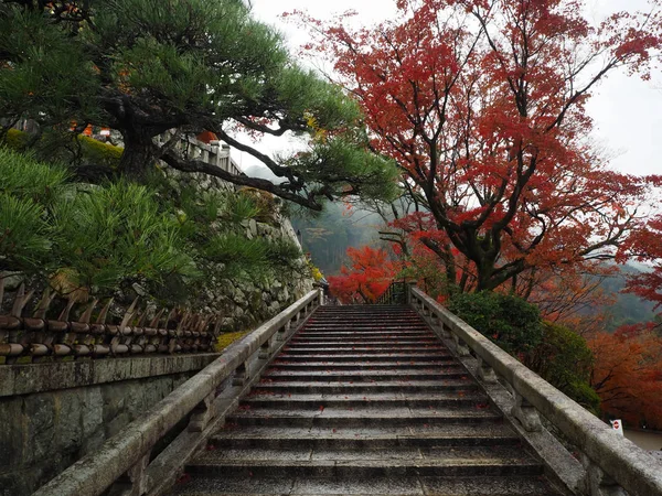 Kyoto Japonya Sonbahar Kiyomizu Dera Tapınağı Nda — Stok fotoğraf