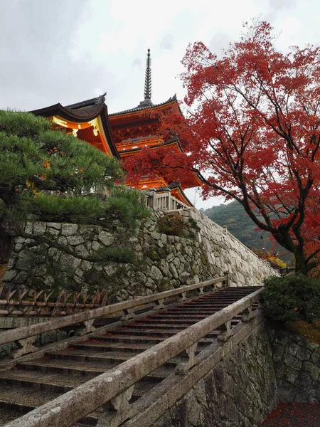 Kyoto Japonya Sonbahar Kiyomizu Dera Tapınağı Nda — Stok fotoğraf
