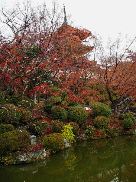 Kyoto Japonya Sonbahar Kiyomizu Dera Tapınağı Nda — Stok fotoğraf