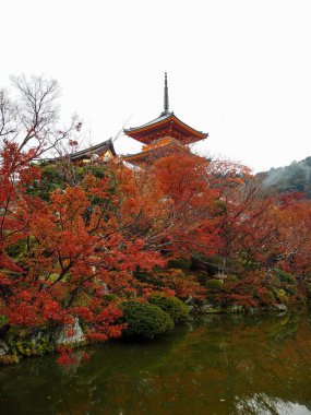 Kyoto, Japonya sonbahar Kiyomizu-dera Tapınağı'nda