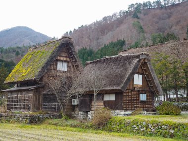 Shirakawago, küçük, güzel ve eşsiz Köyü