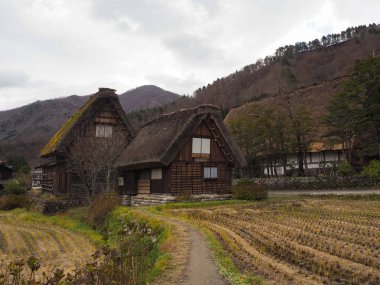 Shirakawago, küçük, güzel ve eşsiz Köyü